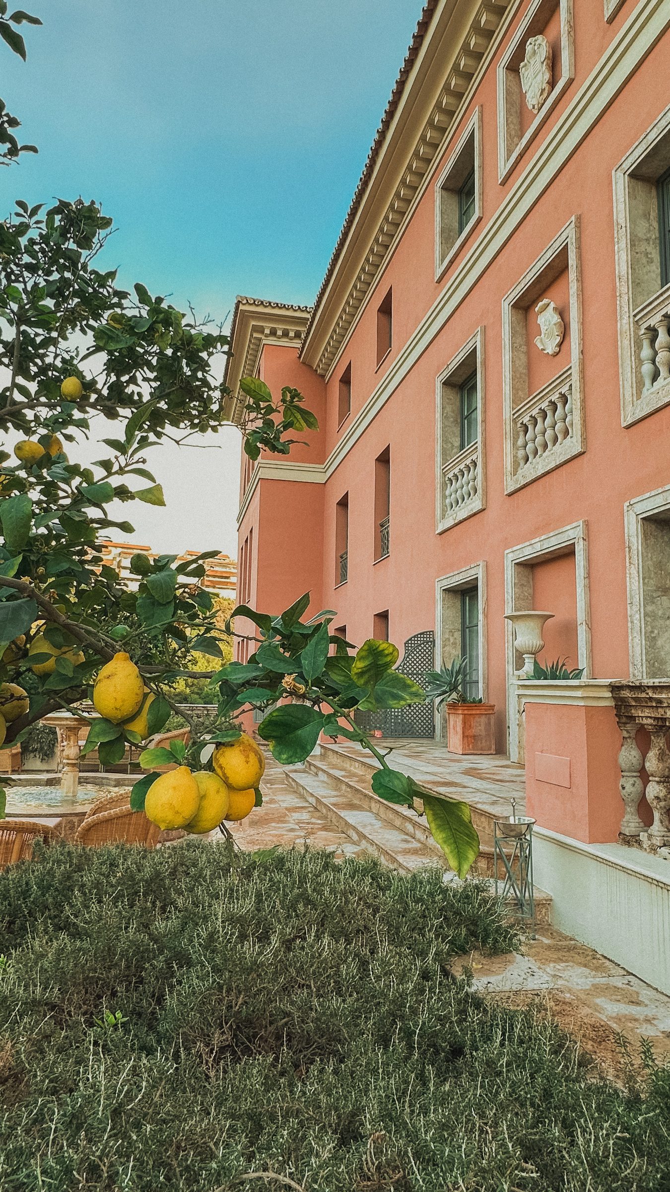 A lemon tree heavy with fruit growing against the terracotta facade of the palace