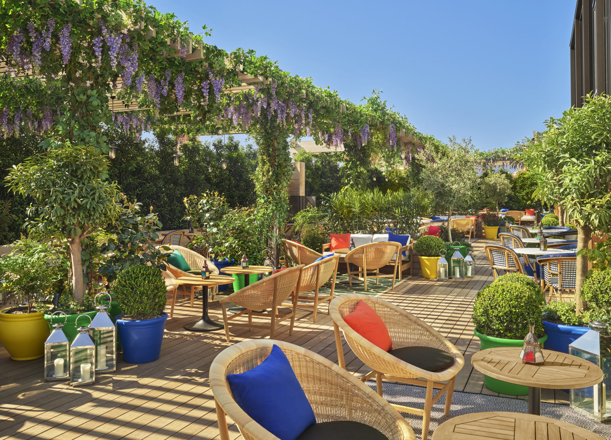 The planted rooftop terrace at The Madrid EDITION with wisteria over a pergola and rattan chairs